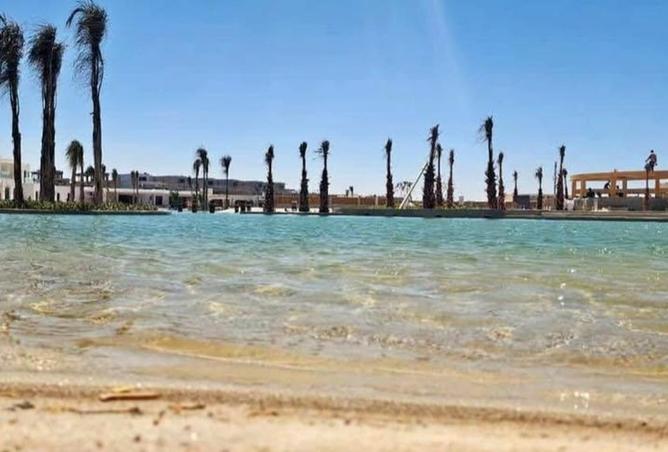 64648747 - صورة العقار 3