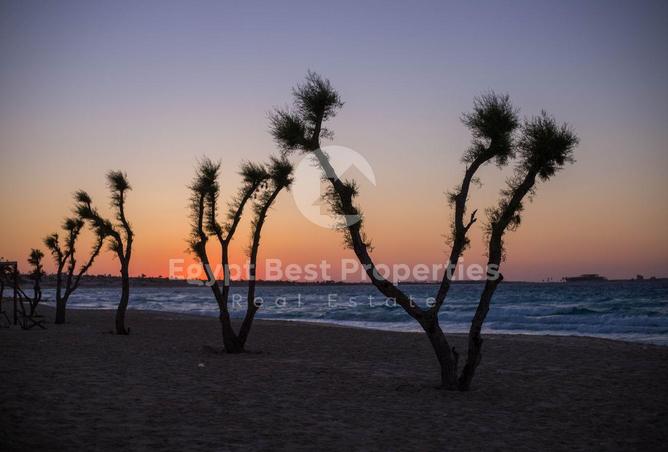 82103494 - Property Image 3