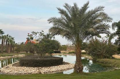 Duplex - 4 - 3 for sale in Rewaya - Sheikh Zayed City - Giza Duplex - 4 - 3 for sale in Rewaya - Sheikh Zayed City - Giza
