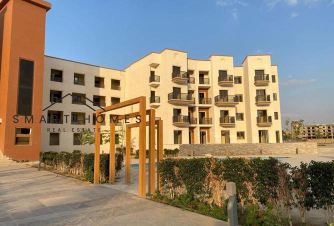 52442774 - Property Image 3