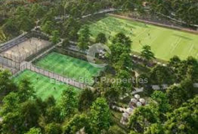 53986411 - Property Image 3