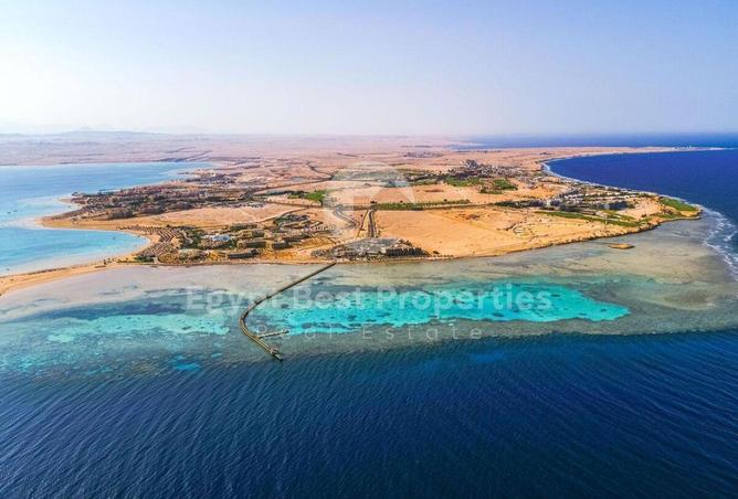 64393604 - صورة العقار 3