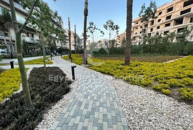 8585521 - Property Image 3