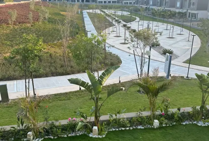 111608339 - صورة العقار 3
