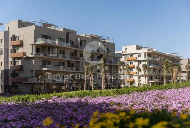 110756226 - Property Image 2