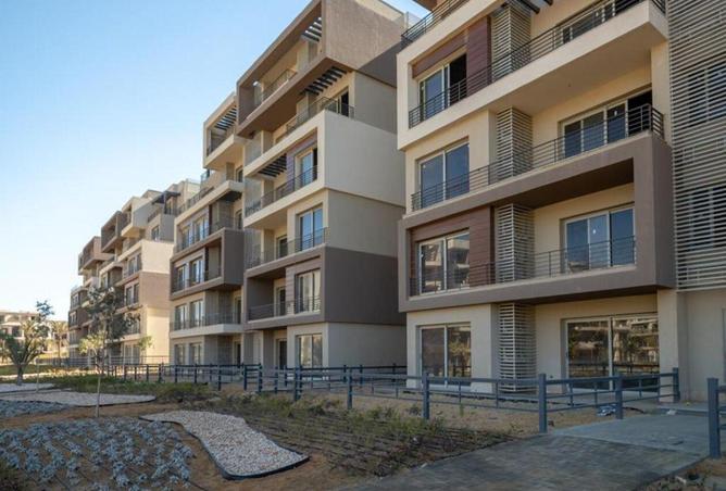 53991104 - Property Image 3