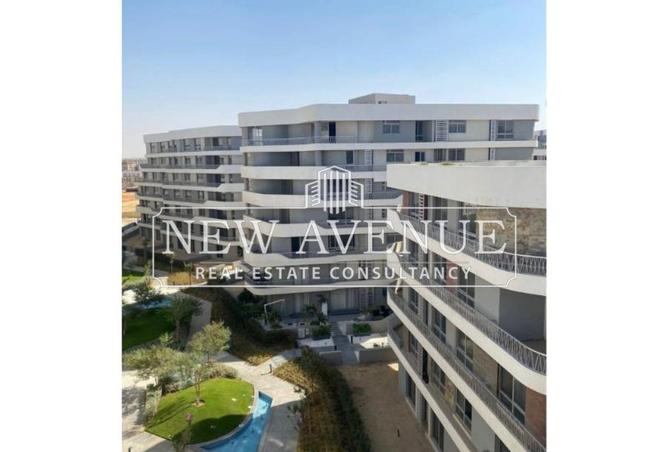 53726123 - Property Image 2