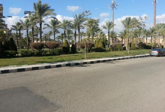 8511566 - صورة العقار 3