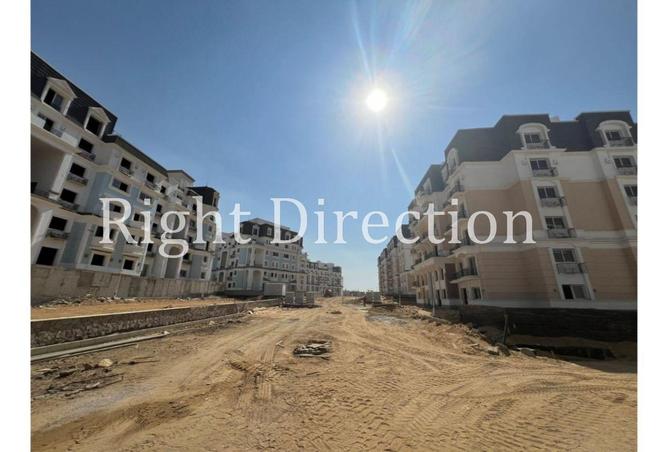 55511964 - Property Image 3