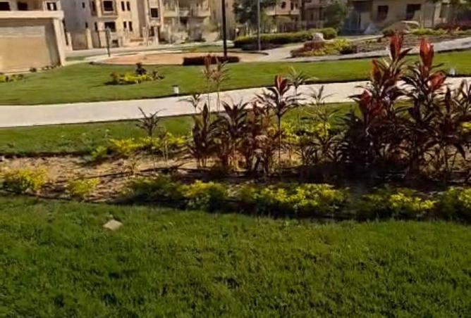 8515115 - Property Image 2