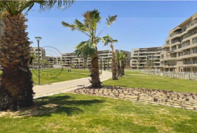 53981590 - صورة العقار 3