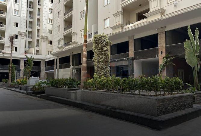 87511903 - صورة العقار 2