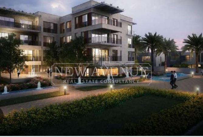 98817077 - Property Image 3
