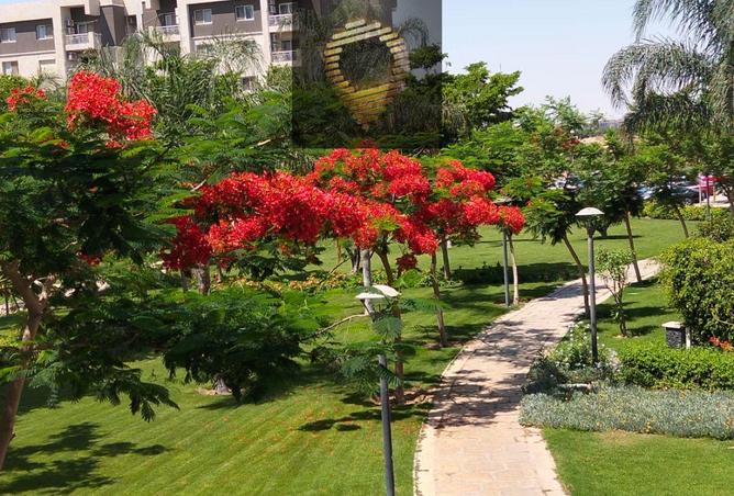 100920919 - الصورة الرئيسية للعقار
