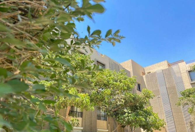 69575751 - صورة العقار 3