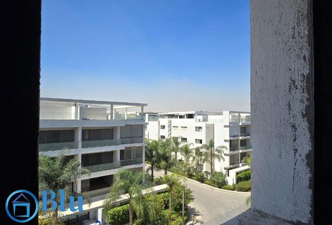 61209640 - Property Image 3