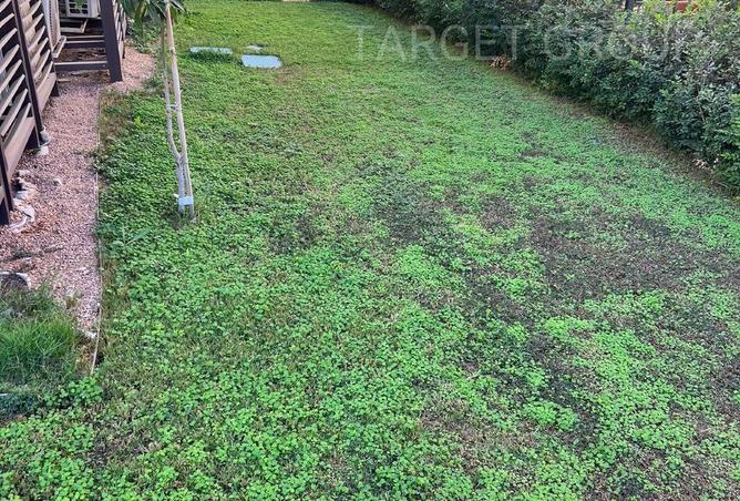 8559749 - صورة العقار 3