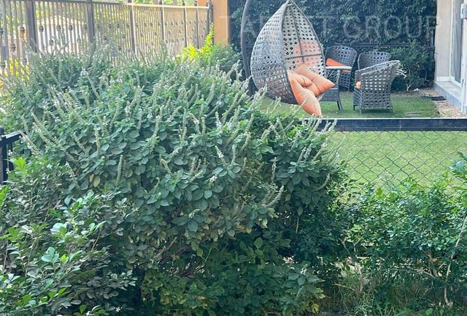 8559749 - صورة العقار 2