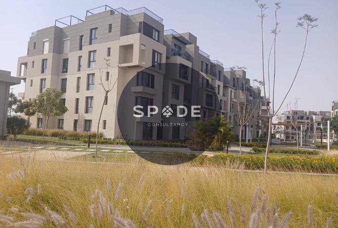 64907312 - Property Image 3