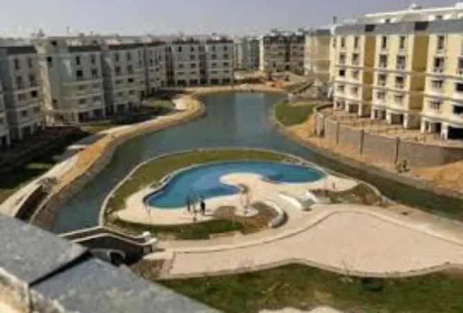 117523463 - Property Image 3