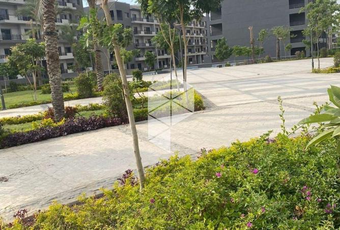 8681522 - Property Image 3