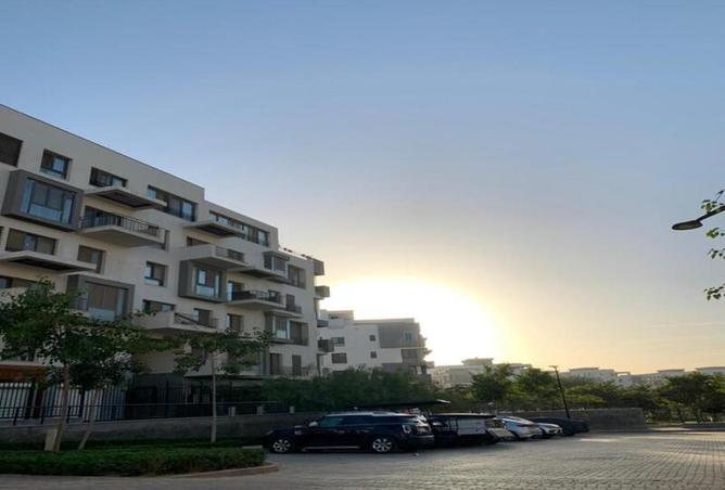 64907145 - صورة العقار 3