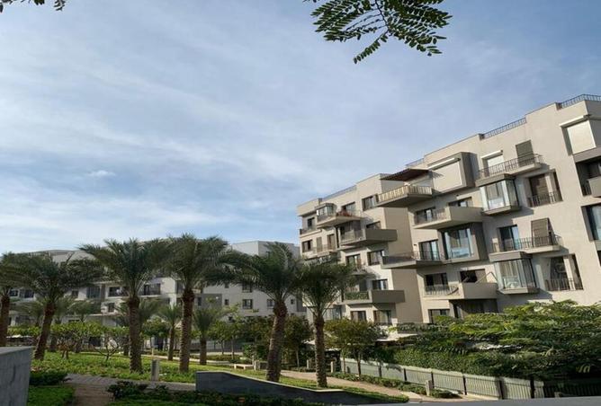 64907145 - صورة العقار 2