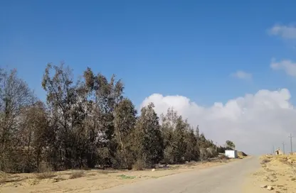 قطعة أرض - استوديو للبيع في مدينة 6 أكتوبر - الجيزة