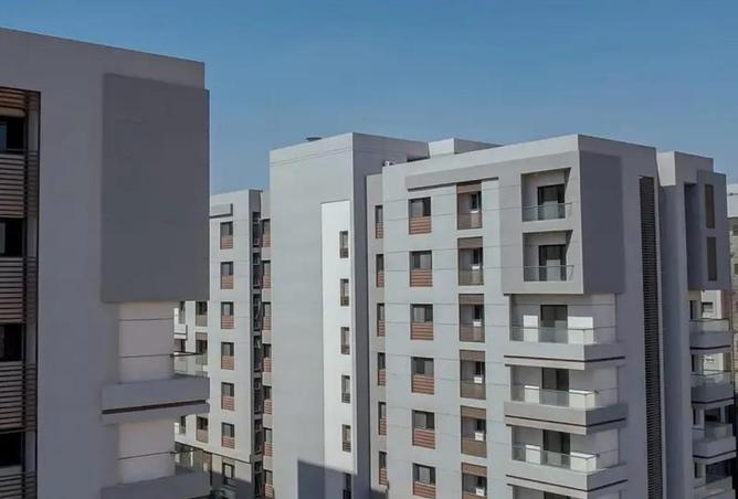 62647951 - Property Image 2