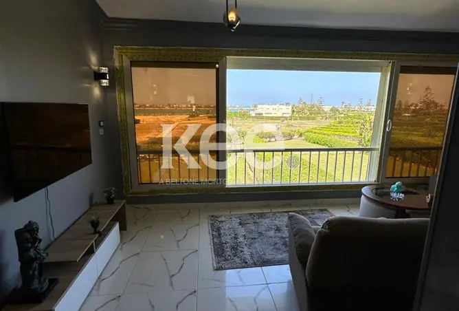 105731453 - Property Image 3