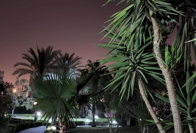 99121599 - صورة العقار 3