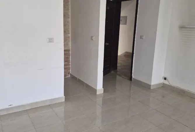 117528447 - Property Image 3