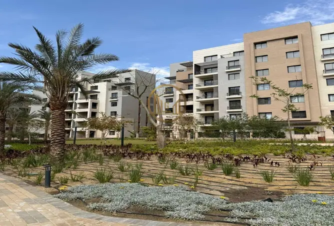 113815192 - صورة العقار 3