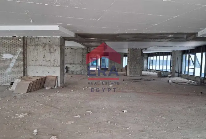 117008358 - Property Image 3