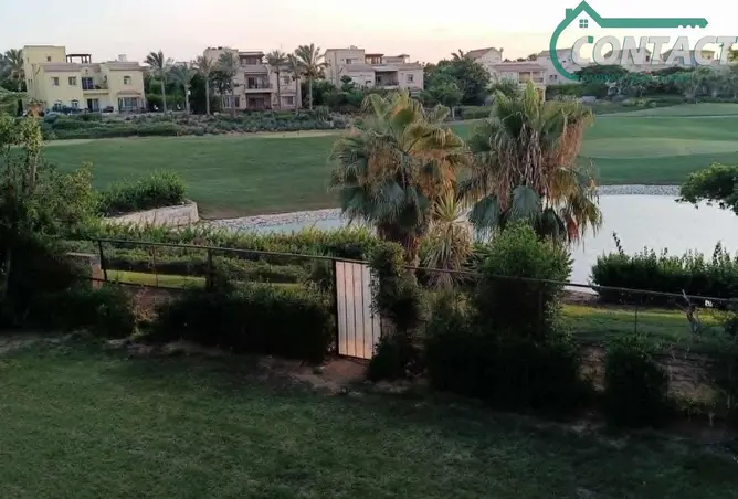 95465608 - صورة العقار 3