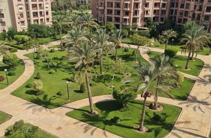 Apartment - 3 Bedrooms - 3 Bathrooms for rent in El Rehab Extension - Al Rehab - New Cairo City - Cairo Apartment - 3 Bedrooms - 3 Bathrooms for rent in El Rehab Extension - Al Rehab - New Cairo City - Cairo
