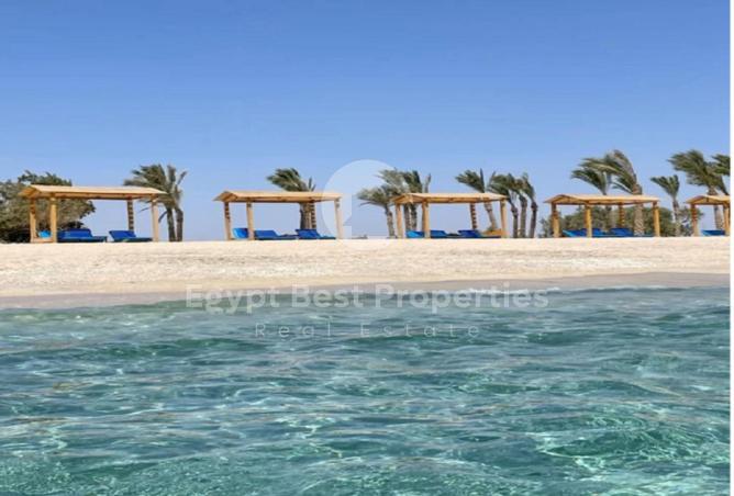 54241119 - Property Image 2