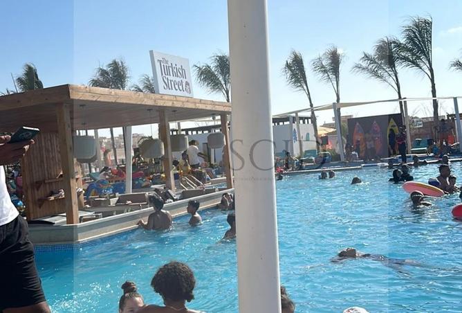 67730679 - Property Image 2