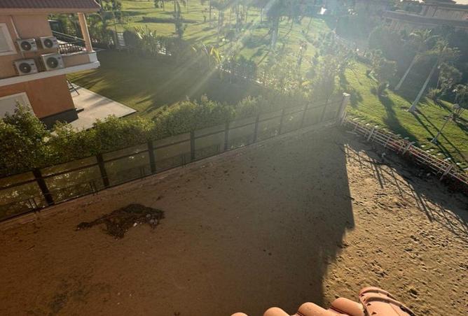 59740674 - Property Image 3