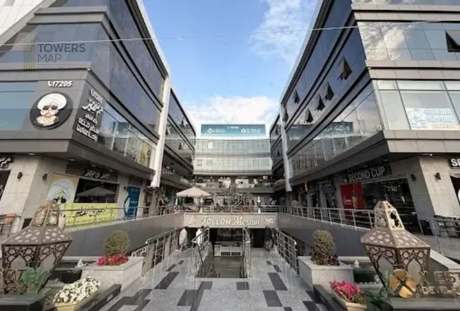 117538980 - Property Image 3