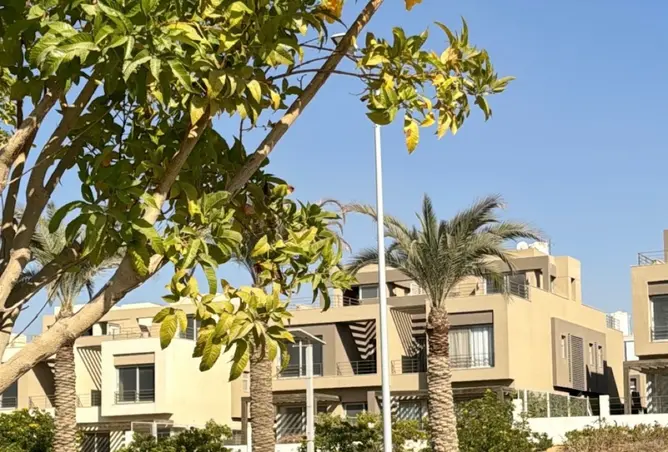 111305636 - صورة العقار 3