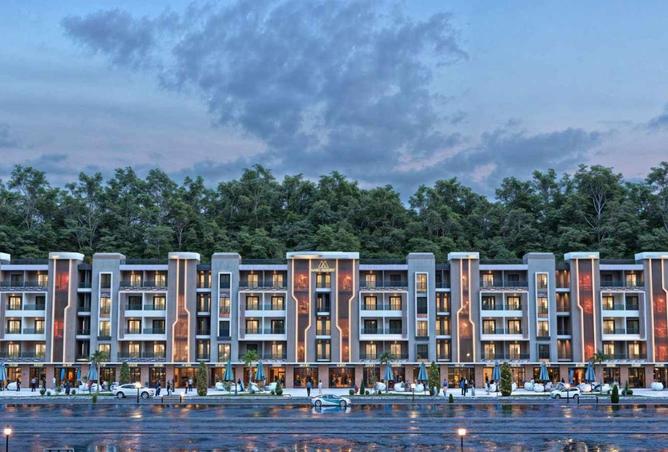 8600446 - Property Image 3