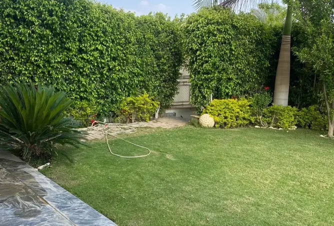 112431401 - صورة العقار 3