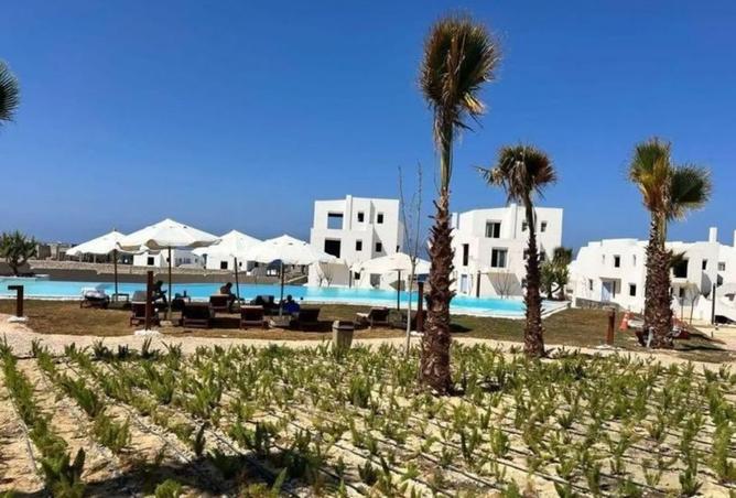 98830242 - صورة العقار 2