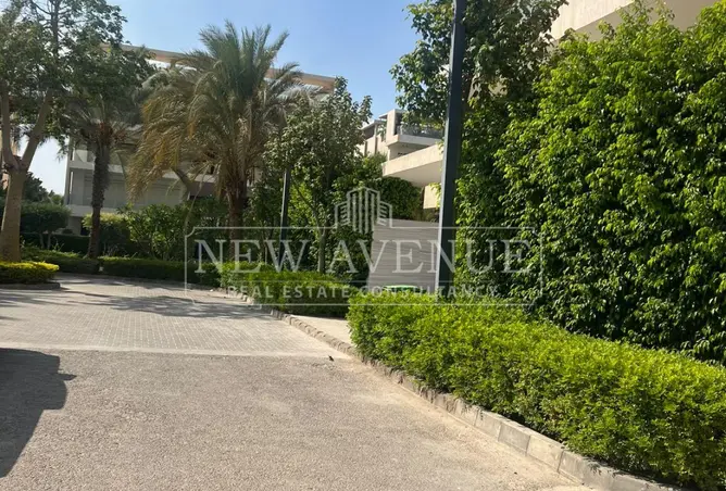 118813172 - صورة العقار 2