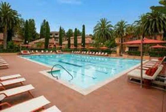 8540401 - صورة العقار 3