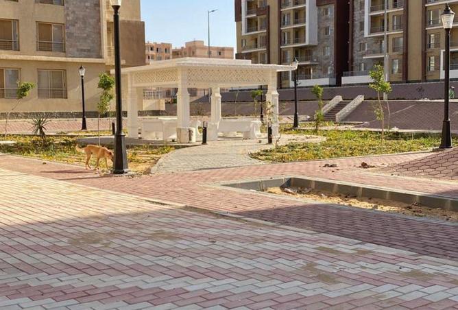 56007062 - Property Image 2