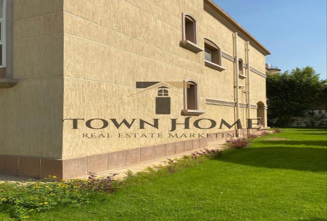 55756428 - Property Image 3