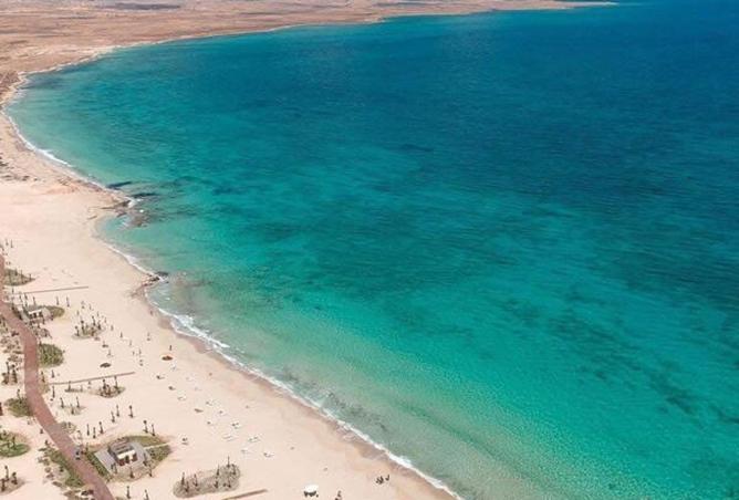 56511339 - صورة العقار 2