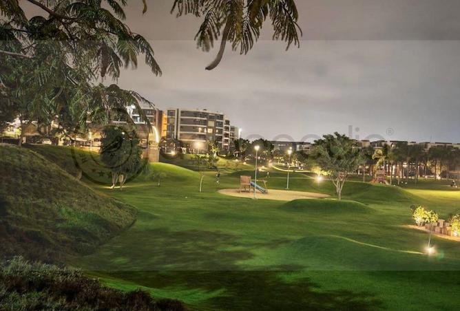 62408007 - Property Image 3